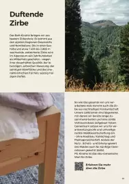 Grüne Erde Flugblatt Seite 13
