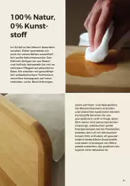 Grüne Erde Flugblatt Seite 31