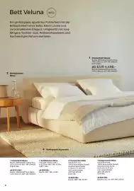 Grüne Erde Flugblatt Seite 6