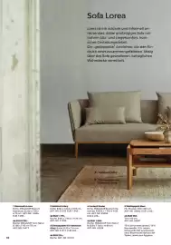 Grüne Erde Flugblatt Seite 62