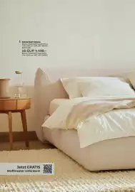 Grüne Erde Flugblatt Seite 8
