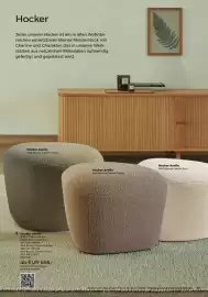 Grüne Erde Flugblatt Seite 81
