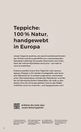 Grüne Erde Flugblatt Seite 2