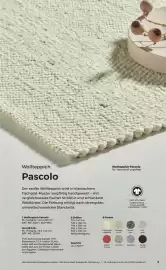 Grüne Erde Flugblatt Seite 9