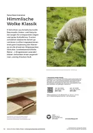 Grüne Erde Flugblatt Seite 10