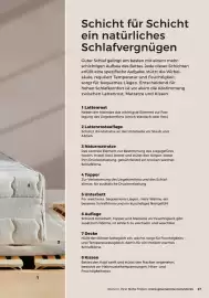 Grüne Erde Flugblatt Seite 27