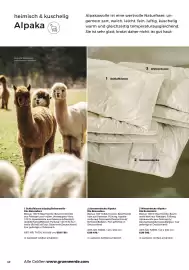Grüne Erde Flugblatt Seite 40