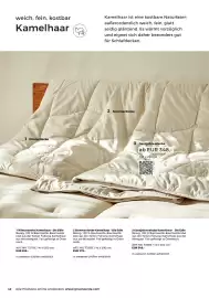 Grüne Erde Flugblatt Seite 42