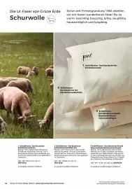 Grüne Erde Flugblatt Seite 44