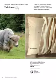 Grüne Erde Flugblatt Seite 48