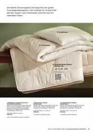 Grüne Erde Flugblatt Seite 49