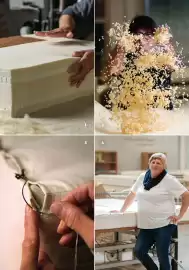 Grüne Erde Flugblatt Seite 5