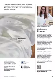 Grüne Erde Flugblatt Seite 55