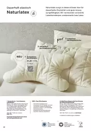 Grüne Erde Flugblatt Seite 60