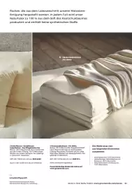 Grüne Erde Flugblatt Seite 61