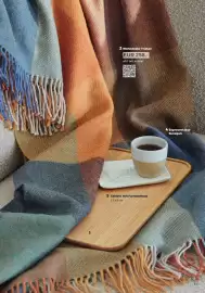 Grüne Erde Flugblatt Seite 11