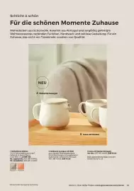 Grüne Erde Flugblatt Seite 13