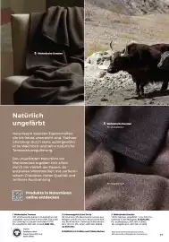 Grüne Erde Flugblatt Seite 17