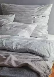 Grüne Erde Flugblatt Seite 55