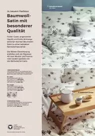 Grüne Erde Flugblatt Seite 57