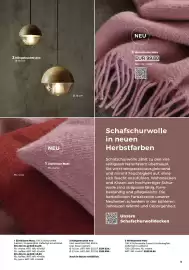 Grüne Erde Flugblatt Seite 9