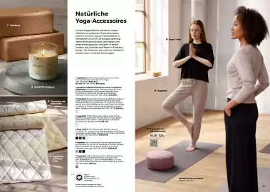 Grüne Erde Flugblatt Seite 25