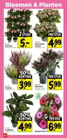 Vomar Voordeelmarkt folder | Weekend Pagina 37: Calluna €3,99, Boeket Demi €6,99
