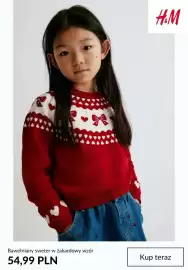 H&M gazetka tydzień 42 Strona 4: Bawełniany sweter w żakardowy wzór H & M €54,99