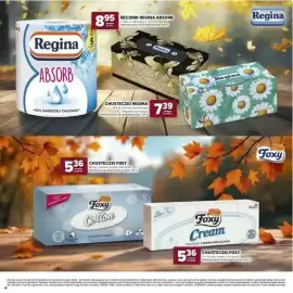 Stokrotka gazetka Strona 27: Chusteczki Regina elegante €7,39, Ręcznik Regina Absorb €8,95