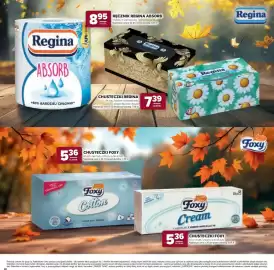 Stokrotka gazetka Strona 28: Chusteczki Regina elegante €7,39, Ręcznik Regina Absorb €8,95