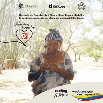 Tiendas D1 (válido hasta 29-10)