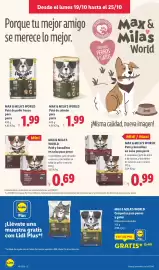 Catálogo Lidl semana 43 Página 28