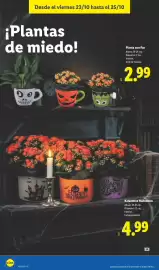 Catálogo Lidl semana 43 Página 56
