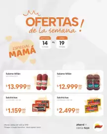 Catálogo El Milagro Mayorista semana 42 Página 1