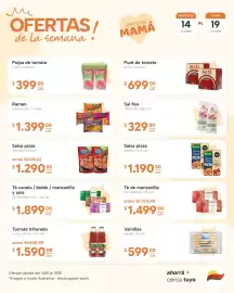 Catálogo El Milagro Mayorista semana 42 Página 13