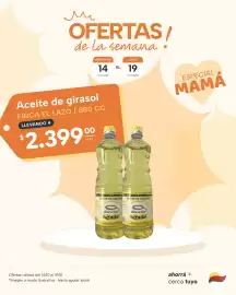 Catálogo El Milagro Mayorista semana 42 Página 14