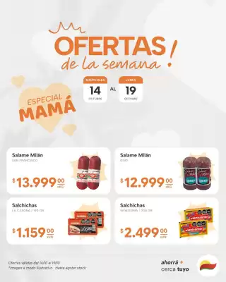 El Milagro Mayorista (válido hasta 19-10)