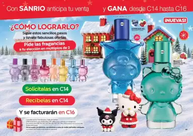 Catálogo Fuller Página 17