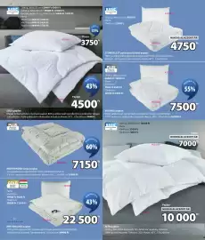 JYSK akciós újság Oldal 4: Basic storfjellet poliészter töltetű paplan €4.750,00, Plus párna €7.500,00