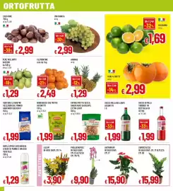 Volantino Famila Pagina 4: Ananas €1,29, Clementine €2,49