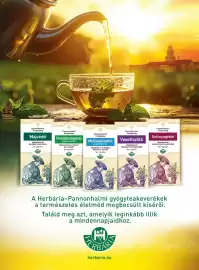 DM akciós újság Oldal 64