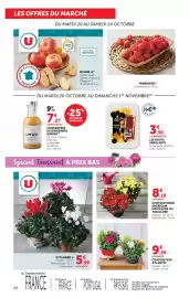 Catalogue Super U page 24: CYCLAMEN U €5,99, CHRYsantheme AMÉRICAIN €8,19