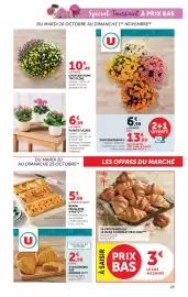 Catalogue Super U page 25: LA PLANTE PLANTE FLEURIE €6,99, Prix Mini €3,00