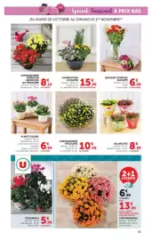 Catalogue Hyper U page 33: CHRYsantheme Tricolore €10,49, KALANCHOÉ €8,99