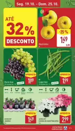 Folheto ALDI semana 43 Página 5: Feijão Fillet €1,99, Jacintos Vaso €14,90