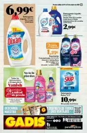 Folleto Gadis semana 42 Página 48: Dixan detergente líquido €6,99