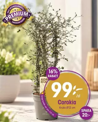 EKO reklamblad (giltig till och med 29-10)