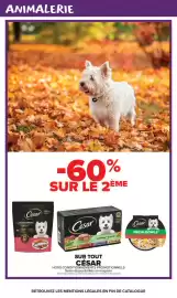 Catalogue Carrefour Market | Halloween page 15