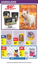 Catalogue Carrefour | Halloween page 50: JOY&TOY! €6,99, Ultima Terrine pour petit chien €0,95