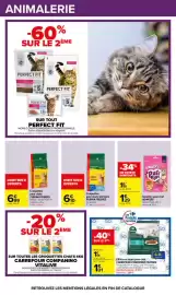 Catalogue Carrefour | Halloween page 51: CARREFOUR COMPANINO SUPREM Éfilés en sauce pour chat €2,70, BONKERS Pur Pops €1,29